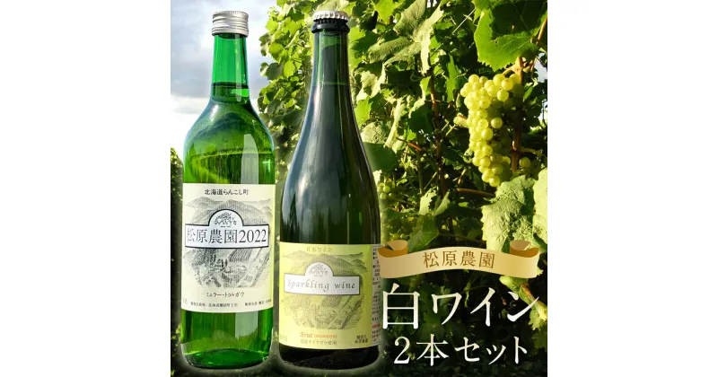 【ふるさと納税】白ワイン ミュラートゥルガウ・ナイヤガラスパークリング フルボトルセット 2本 飲み比べ セット お酒 ワイン 松原農園 蘭越町 送料無料