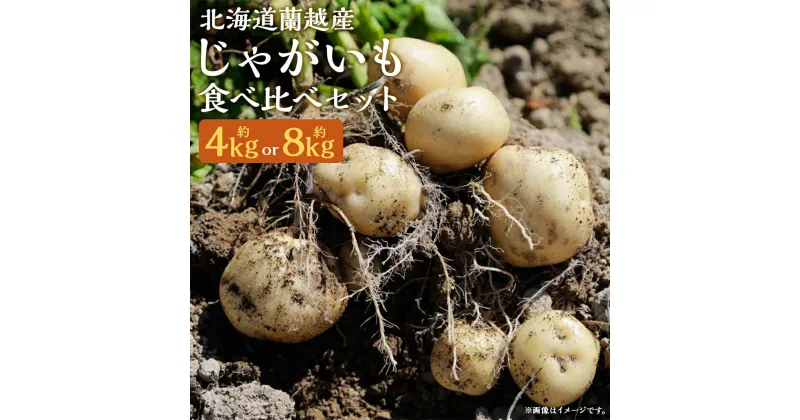 【ふるさと納税】北海道蘭越産じゃがいも 食べ比べ5種類セット 約4kg/約8kg 選べる内容量 男爵 きたあかり とうや メークイン グランドペチカ じゃが芋 芋 野菜 蘭越町産 北海道産 国産 送料無料【2024年11月下旬～2025年4月上旬に順次発送予定】