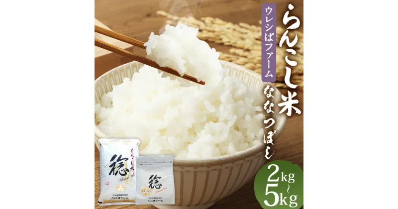 【ふるさと納税】らんこし米 ななつぼし 【ウレシぱファーム】 2kg/5kg 選べる内容量 お米 白米 精米 令和6年産 北海道産 送料無料