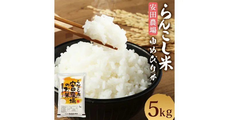 【ふるさと納税】らんこし米 特別栽培米 ゆめぴりか 5kg 【安田農場】 令和6年産 お米 白米 精米 蘭越町産 北海道産 送料無料