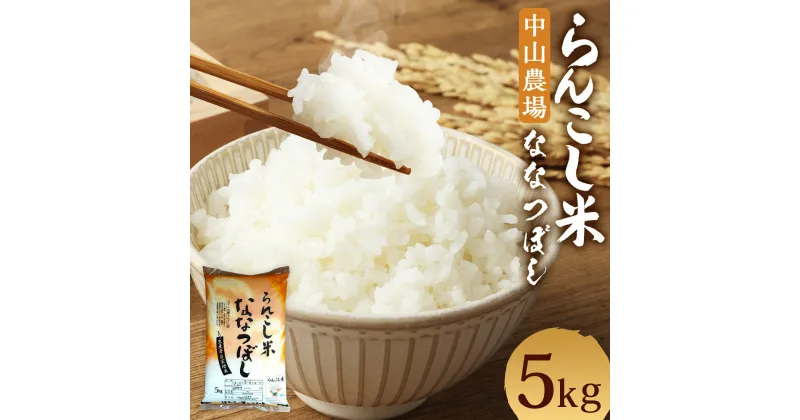 【ふるさと納税】らんこし米 ななつぼし 5kg 【中山農場】 令和6年産 お米 白米 精米 蘭越町産 北海道産 送料無料