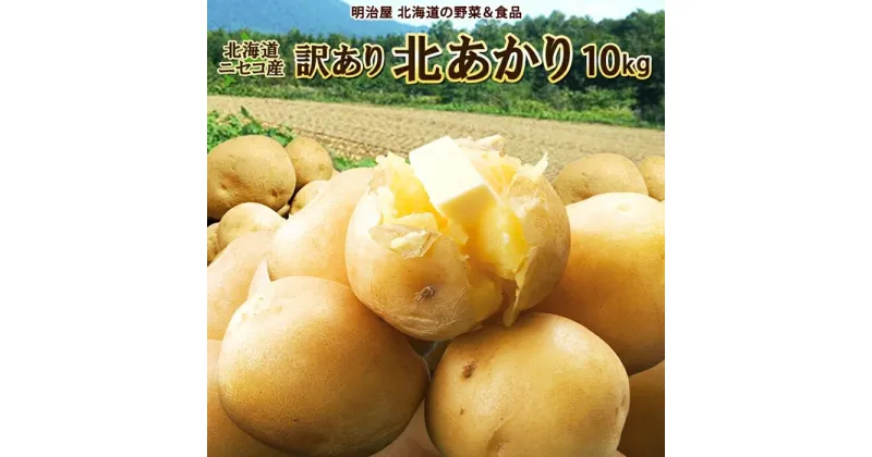 【ふるさと納税】＜早期予約＞北海道ニセコ町 訳ありじゃがいも北あかり10kg【2024年産】【3200901】