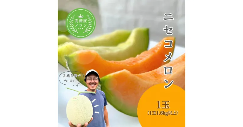 【ふるさと納税】《2025年分受付中》糖度13度以上!市場には出回らない北海道ニセコメロン1玉（1.6kg以上）/高橋農園【37001】