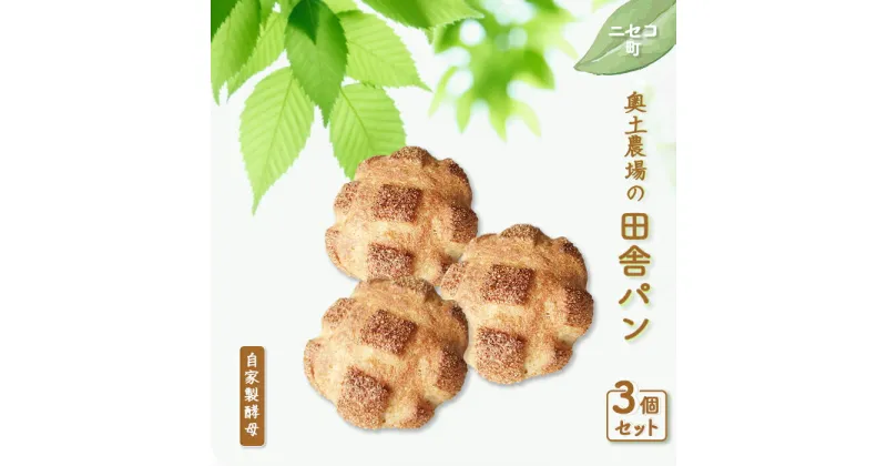 【ふるさと納税】田舎パン 3個 セット 自家製酵母 オンライン 申請 ふるさと納税 北海道 ニセコ 田舎 パン ぱん 美味しいパン シンプルなパン 朝食 朝ごはん 道産小麦 冷凍パン 奥土農場 ニセコ町 【42005】