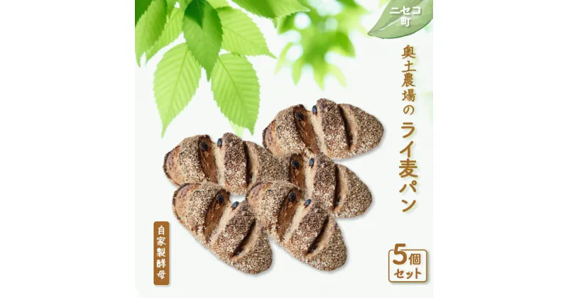 【ふるさと納税】ライ麦パン 5個 セット 自家製酵母 オンライン 申請 ふるさと納税 北海道 ニセコ ライ麦 パン ぱん 美味しいパン レーズン くるみ 朝食 朝ごはん スライス 道産小麦 冷凍パン 奥土農場 ニセコ町 【42007】