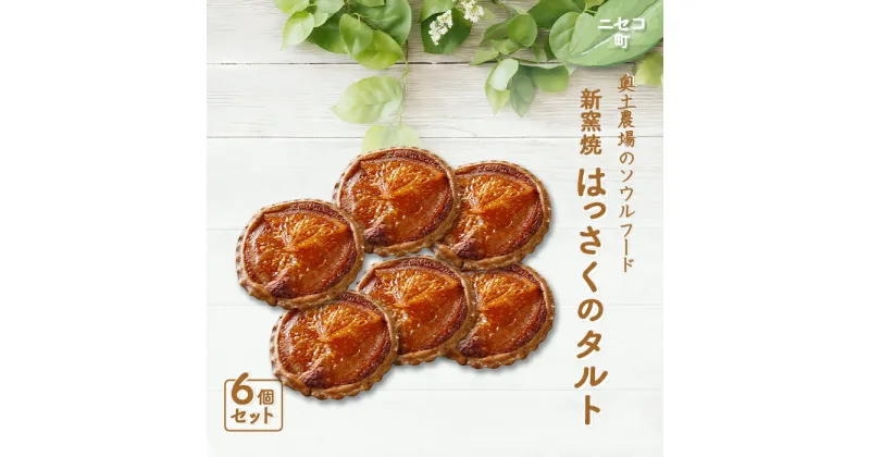 【ふるさと納税】薪窯焼 はっさくのタルト 6個 セット オンライン 申請 ふるさと納税 北海道 ニセコ はっさく 八朔 タルト おやつ スイーツ 手土産 手作り シロップ漬け 素朴 焼菓子 奥土農場 ニセコ町 【42016】