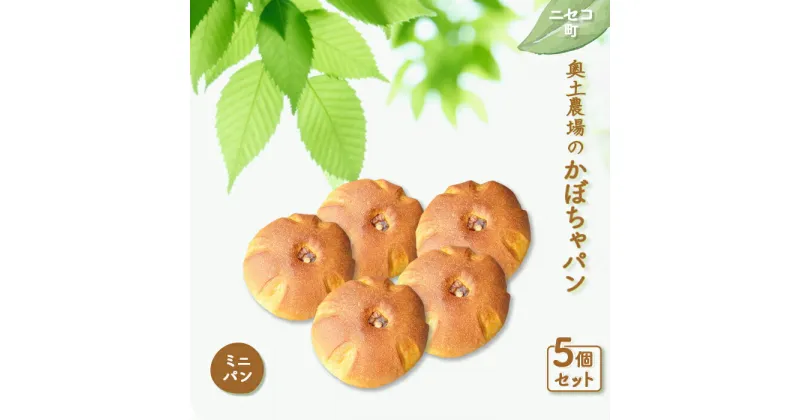 【ふるさと納税】かぼちゃパン ミニパン 5個 セット 自家製酵母 オンライン 申請 ふるさと納税 北海道 ニセコ かぼちゃ パン ぱん 美味しいパン 優しい甘み 朝食 朝ごはん 道産小麦 冷凍パン 奥土農場 ニセコ町 【42009】