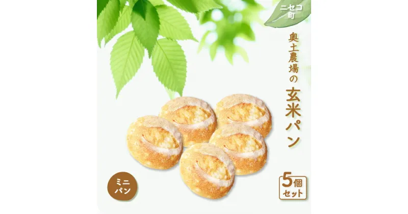 【ふるさと納税】玄米パン ミニパン 5個 セット 自家製酵母 オンライン 申請 ふるさと納税 北海道 ニセコ 玄米 パン ぱん 美味しいパン シンプルなパン 朝食 朝ごはん トースト サンドイッチ 道産小麦 冷凍パン 奥土農場 ニセコ町 【42008】