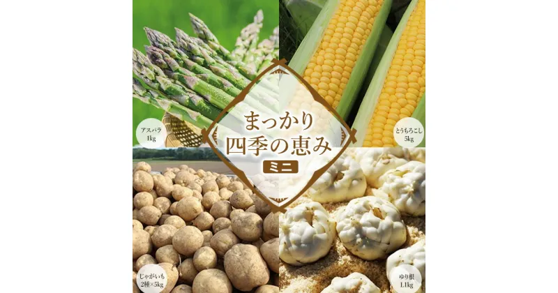 【ふるさと納税】【2025年産】まっかり四季の恵み（ミニ）(アスパラ1kg、とうもろこし5kg、じゃがいも2種×5kg、ゆり根L1kg)【0117701】