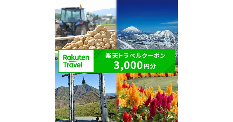 【ふるさと納税】北海道留寿都村の対象施設で使える 楽天トラベルクーポン 寄付額10,000円(クーポン3,000円)【10002】