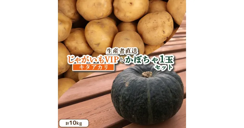 【ふるさと納税】じゃがいも VIP キタアカリ かぼちゃ 1玉 セット 計10kg いも 芋 イモ ジャガイモ きたあかり カボチャ 南瓜 オンライン 申請 ふるさと納税 北海道 留寿都 野菜 旬野菜 産地直送 新鮮 先行予約 詰め合わせ【12004】