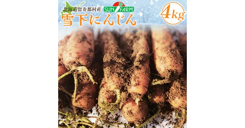 【ふるさと納税】雪下にんじん 4kg 人参 にんじん ニンジン 越冬 オンライン 申請 ふるさと納税 北海道 留寿都 野菜 春 旬野菜 季節野菜 甘い フルーツ みずみずしい 産地直送 新鮮 採れたて サラダ カレー おかず 4キロ 留寿都村【24004】