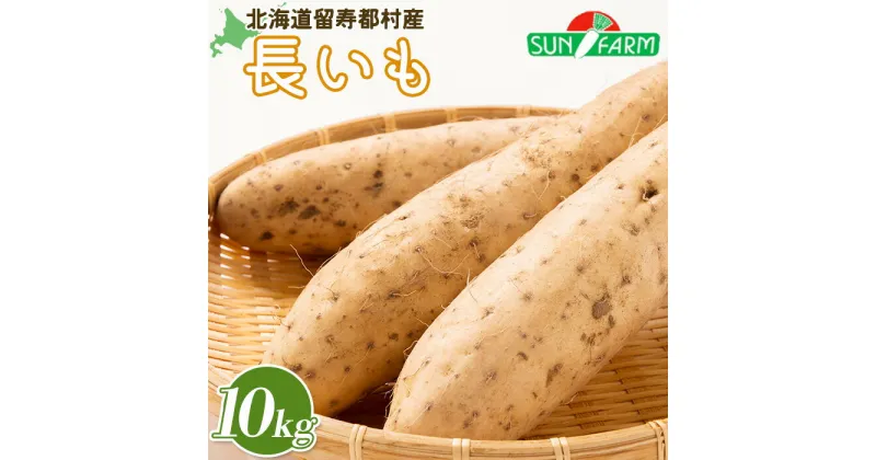 【ふるさと納税】先行予約 長いも 10kg ながいも 長芋 ナガイモ 長イモ オンライン 申請 ふるさと納税 北海道 留寿都 野菜 根菜 とろろ とろろいも トロロいも 産地直送 新鮮 採れたて 漬物 お好み焼き おかず 10キロ 留寿都村【2400701】