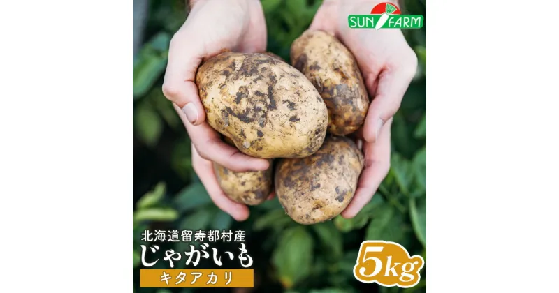 【ふるさと納税】じゃがいも キタアカリ 5kg いも おいも 芋 イモ ジャガイモ ポテト きたあかり オンライン 申請 ふるさと納税 北海道 留寿都 野菜 根菜 ホクホク 産地直送 新鮮 採れたて ポテトサラダ コロッケ スープ 5キロ 留寿都村【24012】