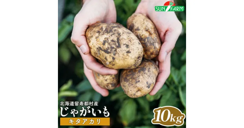 【ふるさと納税】じゃがいも キタアカリ 10kg いも おいも 芋 イモ ジャガイモ ポテト きたあかり オンライン 申請 ふるさと納税 北海道 留寿都 野菜 根菜 ホクホク 産地直送 新鮮 採れたて ポテトサラダ コロッケ スープ 10キロ 留寿都村【24013】