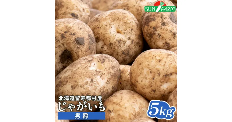 【ふるさと納税】じゃがいも 男爵 5kg いも おいも 芋 イモ ジャガイモ ポテト だんしゃく オンライン 申請 ふるさと納税 北海道 留寿都 野菜 根菜 産地直送 新鮮 採れたて ポテトサラダ コロッケ マッシュポテト 5キロ 留寿都村【24014】