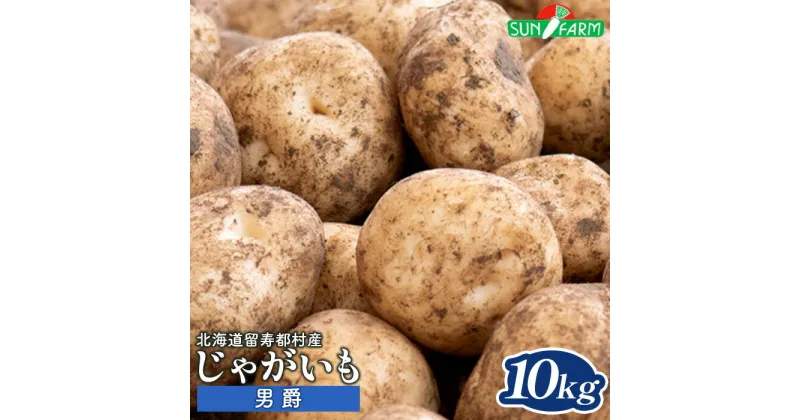 【ふるさと納税】じゃがいも 男爵 10kg いも おいも 芋 イモ ジャガイモ ポテト だんしゃく オンライン 申請 ふるさと納税 北海道 留寿都 野菜 根菜 産地直送 新鮮 採れたて ポテトサラダ コロッケ マッシュポテト 10キロ 留寿都村【24015】