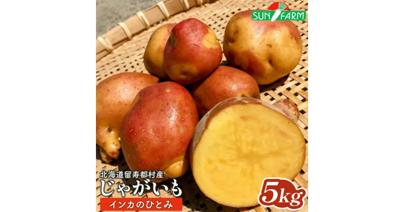 【ふるさと納税】じゃがいも インカのひとみ 5kg いも おいも 芋 イモ ジャガイモ ポテト インカ オンライン 申請 ふるさと納税 北海道 留寿都 野菜 根菜 産地直送 新鮮 採れたて 煮物 フライドポテト ポトフ 5キロ 留寿都村【24017】