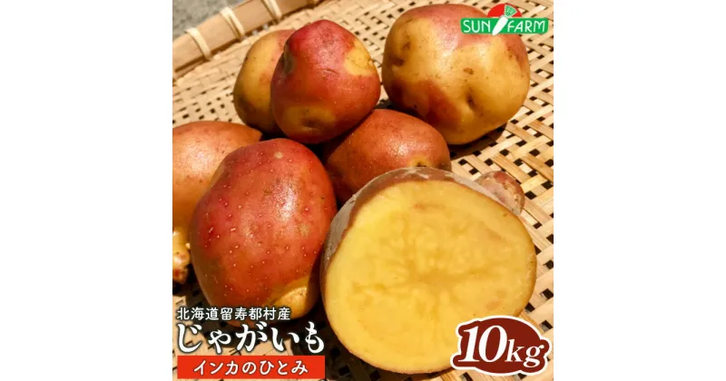 【ふるさと納税】じゃがいも インカのひとみ 10kg いも おいも 芋 イモ ジャガイモ ポテト インカ オンライン 申請 ふるさと納税 北海道 留寿都 野菜 根菜 産地直送 新鮮 採れたて 煮物 フライドポテト ポトフ 10キロ 留寿都村【24018】