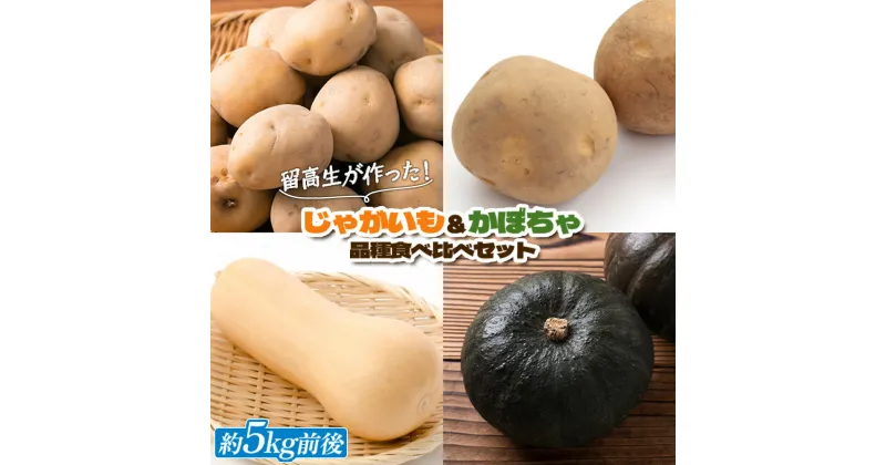 【ふるさと納税】留寿都高校 じゃがいも＆かぼちゃ 食べ比べ セット じゃがいも 約2kg かぼちゃ 約3kg オンライン 申請 ふるさと納税 北海道 留寿都 野菜 季節野菜 新鮮 採れたて いも 芋 イモ ジャガイモ カボチャ 南瓜 高校生 留寿都村【23001】