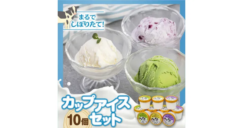 【ふるさと納税】ミルク工房 カップアイスセット（130ml×10個）《喜茂別町》【ニセコリゾート観光協会】 アイス アイスクリーム ジェラート ミルク 抹茶 ブルーベリー セット 詰め合わせ 冷凍 冷凍配送 北海道 北海道 [AJAI011] 11000 11000円