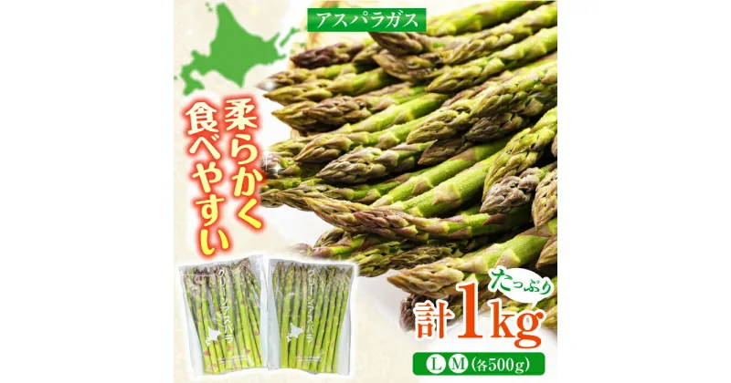 【ふるさと納税】【2025年6月以降順次発送】 グリーンアスパラガス 1kg　（L・Mサイズ各500g）《喜茂別町》【Aコープようてい】 アスパラ 野菜 セット 詰め合わせ 北海道 春野菜 季節の野菜 先行予約 北海道 北海道 [AJAK002] 11000 11000円