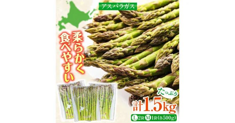 【ふるさと納税】【2025年6月以降順次発送】 グリーンアスパラガス 1.5kg　（Lサイズ500g×2袋・Mサイズ500g）《喜茂別町》【Aコープようてい】 アスパラ 野菜 北海道 春野菜 季節の野菜 先行予約 北海道 北海道 [AJAK003] 16000 16000円