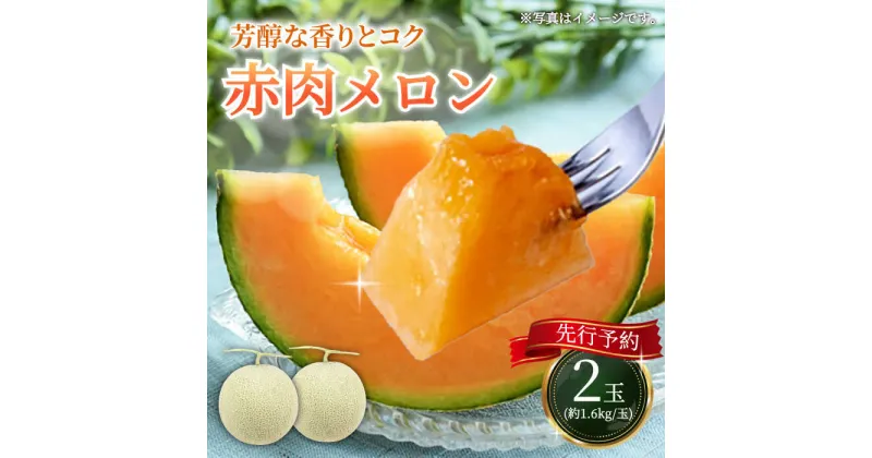 【ふるさと納税】【2025年8月以降順次発送】 赤肉メロン 約1.6kg×2玉 《喜茂別町》【Aコープようてい】 先行予約 数量限定 メロン 赤肉 フルーツ 果物 北海道 産地直送 北海道 北海道 [AJAK004] 13000 13000円