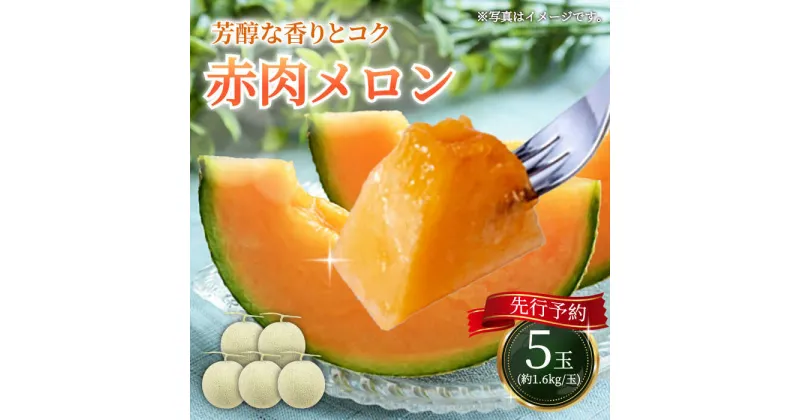 【ふるさと納税】【2025年8月以降順次発送】 赤肉メロン 約1.6kg×5玉 《喜茂別町》【Aコープようてい】 先行予約 数量限定 メロン 赤肉 フルーツ 果物 北海道 産地直送 北海道 北海道 [AJAK005] 27000 27000円