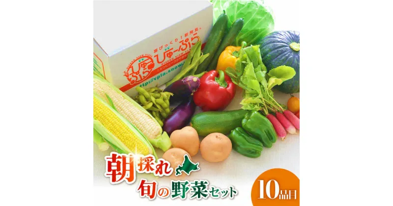 【ふるさと納税】【9月中旬以降順次発送】【ニセコ町産】 朝採れ 旬の野菜 10品目 詰め合わせ 《喜茂別町》【ニセコビュープラザ直売会協同組合】 野菜 セット先行予約 夏野菜 秋野菜 季節の野菜 北海道 北海道 北海道 [AJAH026] 11000 11000円