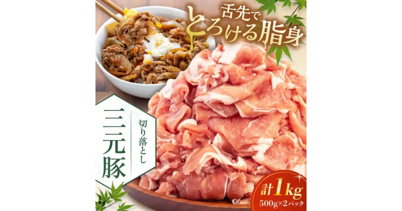 【ふるさと納税】三元豚 切り落とし 計1kg（500g×2パック） 《喜茂別町》【平田牧場】 肉 豚肉 生姜焼き 小分け 冷凍 冷凍配送 北海道 [AJAP005] 11000 11000円