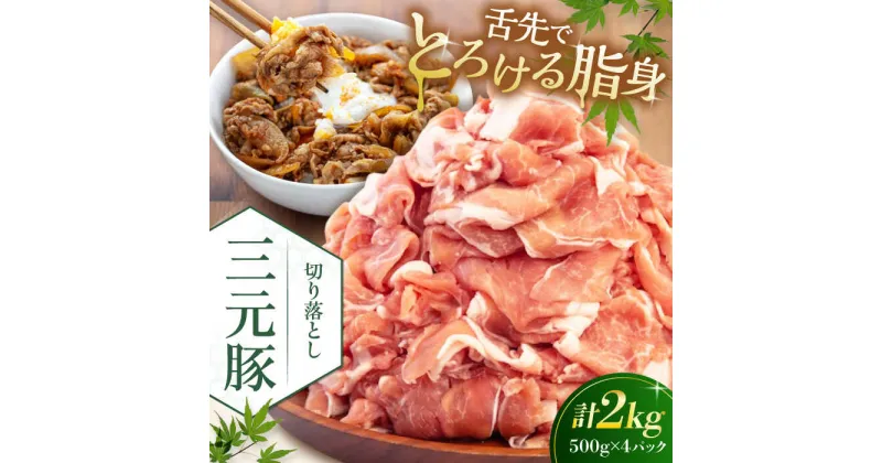 【ふるさと納税】三元豚 切り落とし 計2kg（500g×4パック） 《喜茂別町》【平田牧場】 肉 豚肉 生姜焼き 小分け 冷凍 冷凍配送 北海道 [AJAP006] 20000 20000円 2万円