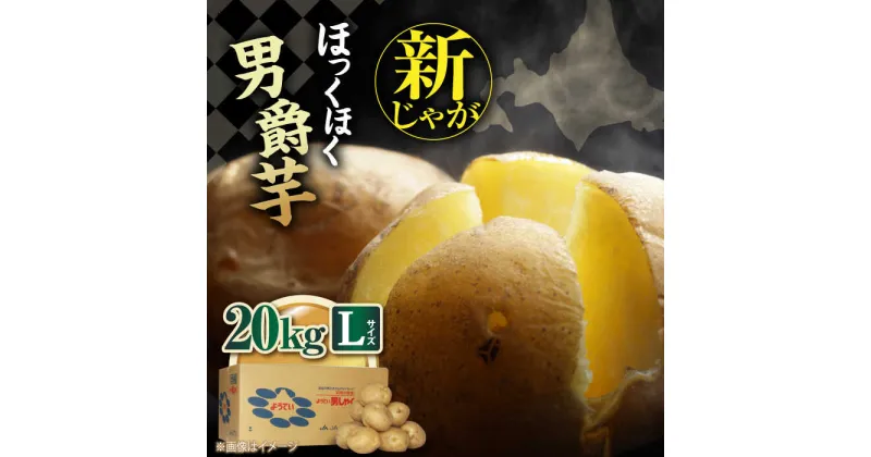 【ふるさと納税】【9月下旬以降順次発送】 新じゃがいも 男爵芋 20Kg 《喜茂別町》【Aコープようてい】 ジャガイモ じゃがいも 野菜 季節の野菜 詰め合わせ 北海道 産地直送 北海道 北海道 [AJAK009] 14000 14000円