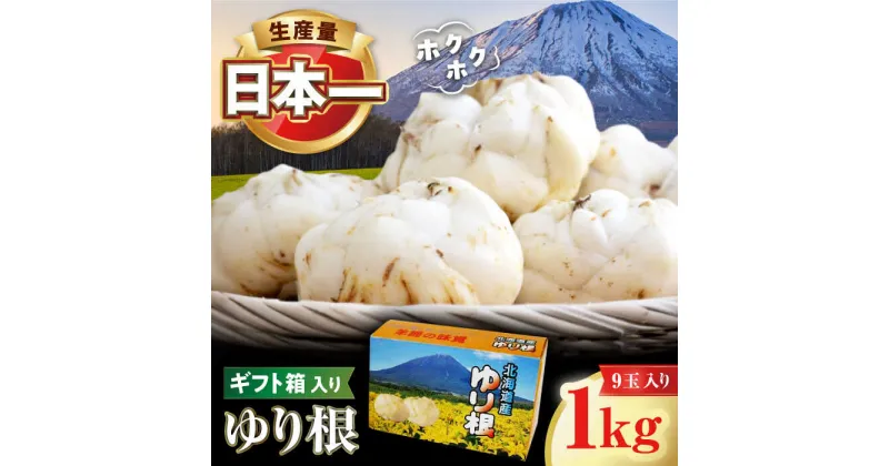 【ふるさと納税】【11月以降順次発送!】 ゆり根 1kg（9玉・ギフト箱入り）《喜茂別町》【Aコープようてい】 ユリ根 ユリネ 北海道 季節の野菜 冬野菜 ギフト プレゼント 産地直送 北海道 北海道 [AJAK018] 10000 10000円 1万円