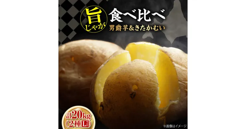 【ふるさと納税】【2025年1月以降順次発送】 じゃがいも 食べ比べセット 計20kg（男爵芋・きたかむい各10kg）《喜茂別町》【Aコープようてい】 ジャガイモ 男爵芋 きたかむい 季節の野菜 詰め合わせ 北海道 北海道 北海道 [AJAK015] 14000 14000円