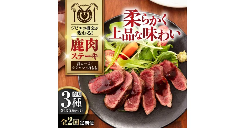 【ふるさと納税】【全2回定期便】鹿肉 ステーキ3種セット（背ロース120g×2枚・シンタマ120g×2枚・内もも120g×2枚）《喜茂別町》【EBIJIN】 ジビエ モモ セット ステーキ 赤身 冷凍配送 定期便 北海道 [AJAO022] 88000 88000円