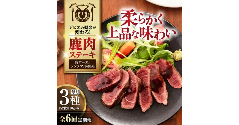 【ふるさと納税】【全6回定期便】鹿肉 ステーキ3種セット（背ロース120g×2枚・シンタマ120g×2枚・内もも120g×2枚）《喜茂別町》【EBIJIN】 ジビエ モモ セット ステーキ 赤身 冷凍配送 定期便 北海道 [AJAO024] 264000 264000円