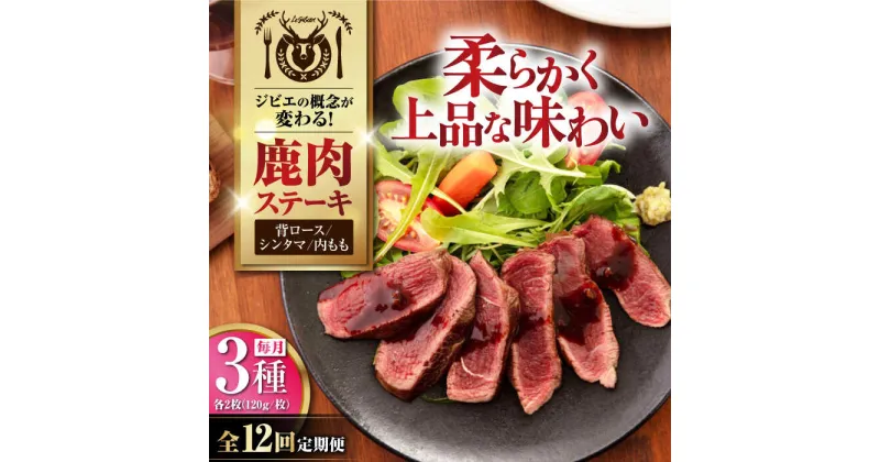 【ふるさと納税】【全12回定期便】鹿肉 ステーキ3種セット（背ロース120g×2枚・シンタマ120g×2枚・内もも120g×2枚）《喜茂別町》【EBIJIN】 ジビエ モモ セット ステーキ 赤身 冷凍配送 定期便 北海道 [AJAO025] 528000 528000円