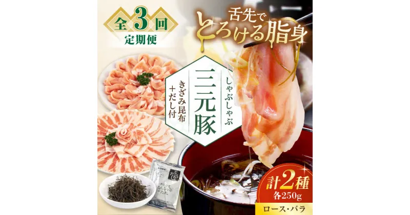 【ふるさと納税】【全3回定期便】 三元豚 しゃぶしゃぶセット 計500g（ロース・バラ） だし・昆布付き 《喜茂別町》【平田牧場】 肉 豚肉 ロース バラ ロース肉 バラ肉 しゃぶしゃぶ 鍋 お鍋 冷凍配送 定期便 北海道 北海道 [AJAP015] 33000 33000円