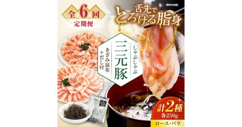 【ふるさと納税】【全6回定期便】 三元豚 しゃぶしゃぶセット 計500g（ロース・バラ） だし・昆布付き 《喜茂別町》【平田牧場】 肉 豚肉 ロース バラ ロース肉 バラ肉 しゃぶしゃぶ 鍋 お鍋 冷凍配送 定期便 北海道 北海道 [AJAP016] 66000 66000円