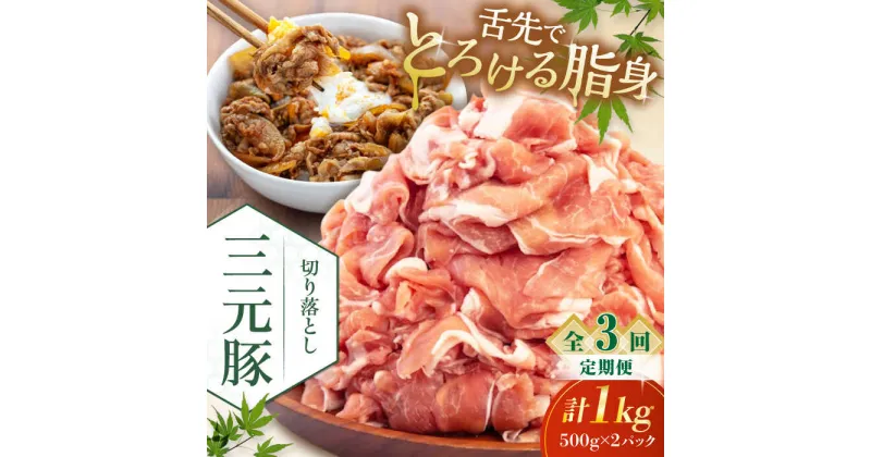 【ふるさと納税】【全3回定期便】 三元豚 切り落とし 計1kg（500g×2パック） 《喜茂別町》【平田牧場】 肉 豚肉 生姜焼き 小分け 冷凍 冷凍配送 定期便 北海道 北海道 [AJAP031] 33000 33000円