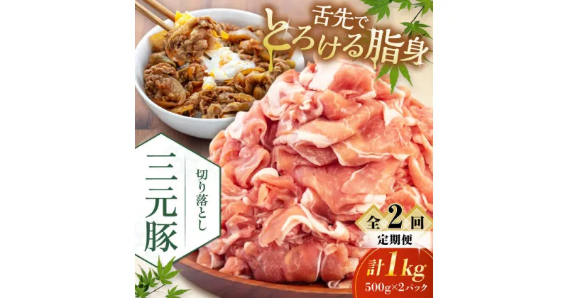 【ふるさと納税】【全2回定期便】 三元豚 切り落とし 計1kg（500g×2パック） 《喜茂別町》【平田牧場】 肉 豚肉 生姜焼き 小分け 冷凍 冷凍配送 定期便 北海道 北海道 [AJAP030] 22000 22000円