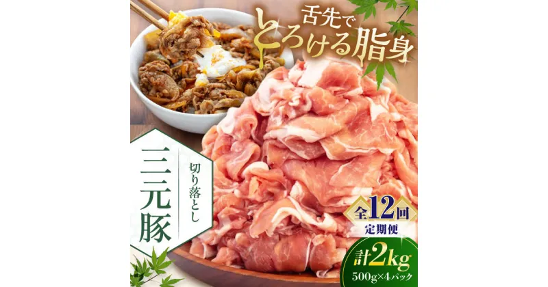 【ふるさと納税】【全12回定期便】 三元豚 切り落とし 計2kg（500g×4パック） 《喜茂別町》【平田牧場】 肉 豚肉 生姜焼き 小分け 冷凍 冷凍配送 定期便 北海道 北海道 [AJAP037] 240000 240000円 24万円