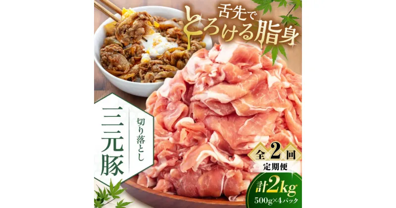 【ふるさと納税】【全2回定期便】 三元豚 切り落とし 計2kg（500g×4パック） 《喜茂別町》【平田牧場】 肉 豚肉 生姜焼き 小分け 冷凍 冷凍配送 定期便 北海道 北海道 [AJAP034] 40000 40000円 4万円