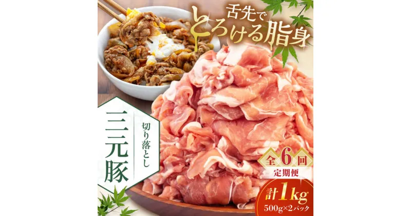 【ふるさと納税】【全6回定期便】 三元豚 切り落とし 計1kg（500g×2パック） 《喜茂別町》【平田牧場】 肉 豚肉 生姜焼き 小分け 冷凍 冷凍配送 定期便 北海道 北海道 [AJAP032] 66000 66000円