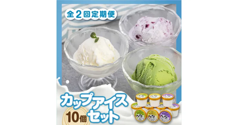 【ふるさと納税】【全2回定期便】ミルク工房 カップアイスセット（130ml×10個）《喜茂別町》【ニセコリゾート観光協会】 アイス アイスクリーム ジェラート ミルク 抹茶 ブルーベリー 詰め合わせ 冷凍配送 北海道 [AJAI055] 22000 22000円