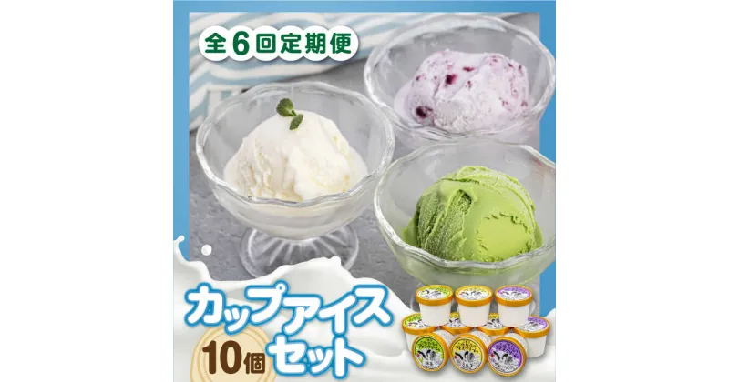 【ふるさと納税】【全6回定期便】ミルク工房 カップアイスセット（130ml×10個）《喜茂別町》【ニセコリゾート観光協会】 アイス アイスクリーム ジェラート ミルク 抹茶 ブルーベリー 詰め合わせ 冷凍配送 北海道 [AJAI057] 66000 66000円