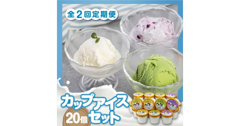 【ふるさと納税】【全2回定期便】ミルク工房 カップアイスセット（130ml×20個）《喜茂別町》【ニセコリゾート観光協会】 アイス アイスクリーム ジェラート ミルク 抹茶 ブルーベリー 詰め合わせ 冷凍配送 北海道 [AJAI059] 40000 40000円 4万円