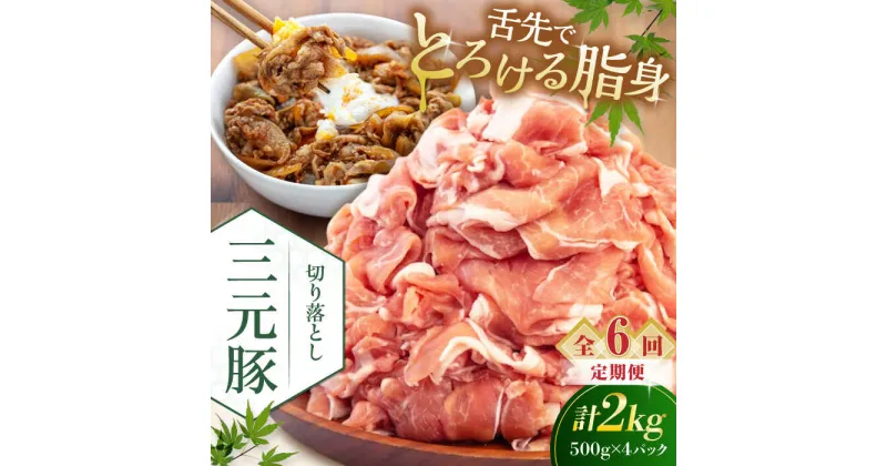 【ふるさと納税】【全6回定期便】 三元豚 切り落とし 計2kg（500g×4パック） 《喜茂別町》【平田牧場】 肉 豚肉 生姜焼き 小分け 冷凍 冷凍配送 定期便 北海道 北海道 [AJAP036] 120000 120000円 12万円