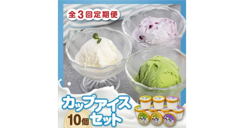 【ふるさと納税】【全3回定期便】ミルク工房 カップアイスセット（130ml×10個）《喜茂別町》【ニセコリゾート観光協会】 アイス アイスクリーム ジェラート ミルク 抹茶 ブルーベリー 詰め合わせ 冷凍配送 北海道 [AJAI056] 33000 33000円